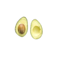 Avocat